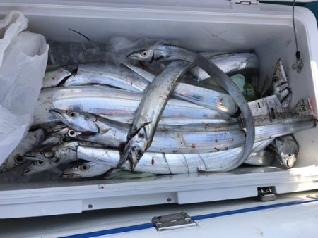 遊漁船高橋 釣果