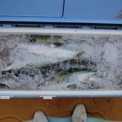 結愛丸 釣果