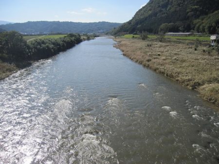 狩野川(狩野川漁業協同組合) 釣果