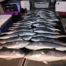 幸風（さちかぜ） 釣果