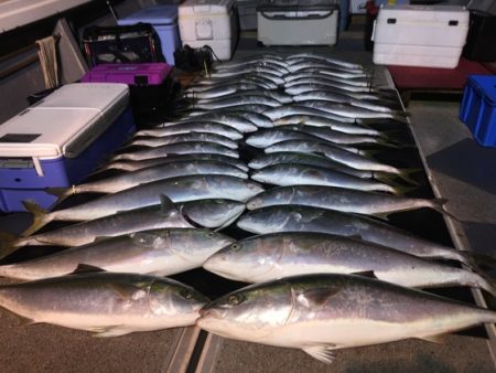 幸風（さちかぜ） 釣果