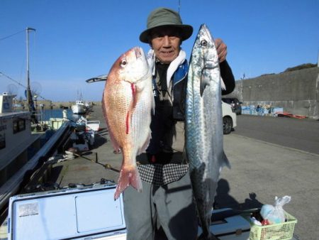 大進丸(新潟) 釣果
