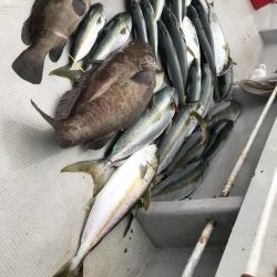 寿裕 （YOSHIHIRO） 釣果