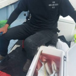 第五慶門丸 釣果