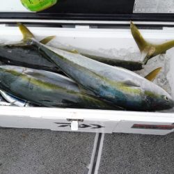 第二大福丸 釣果