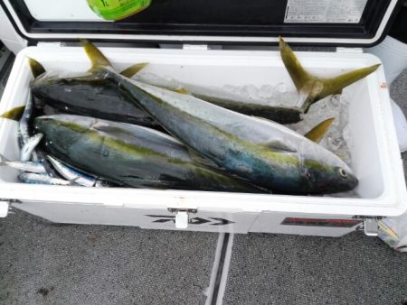 第二大福丸 釣果