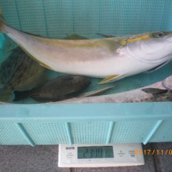 姫路市立遊魚センター 釣果