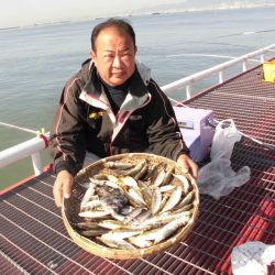 尼崎市立魚つり公園 釣果