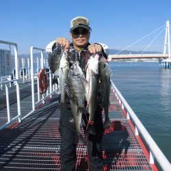 尼崎市立魚つり公園 釣果