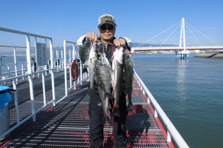 尼崎市立魚つり公園 釣果