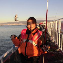 尼崎市立魚つり公園 釣果