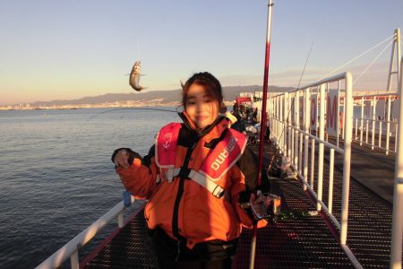 尼崎市立魚つり公園 釣果