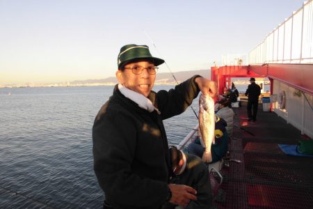 尼崎市立魚つり公園 釣果