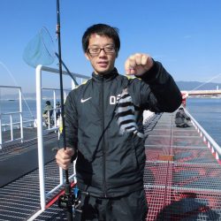 尼崎市立魚つり公園 釣果