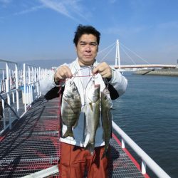 尼崎市立魚つり公園 釣果