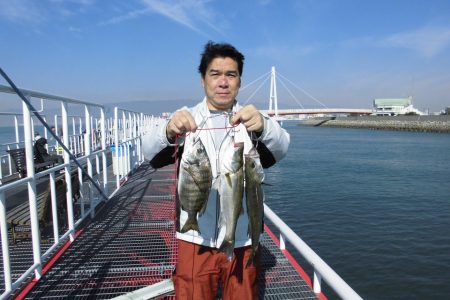 尼崎市立魚つり公園 釣果