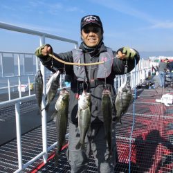 尼崎市立魚つり公園 釣果