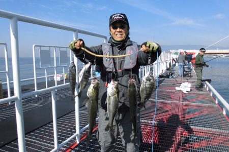 尼崎市立魚つり公園 釣果