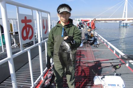 尼崎市立魚つり公園 釣果