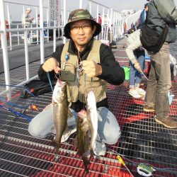 尼崎市立魚つり公園 釣果