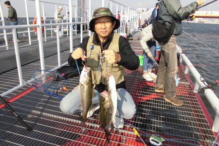 尼崎市立魚つり公園 釣果