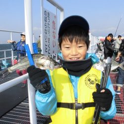 尼崎市立魚つり公園 釣果