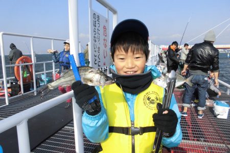 尼崎市立魚つり公園 釣果