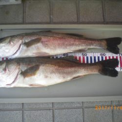 姫路市立遊魚センター 釣果