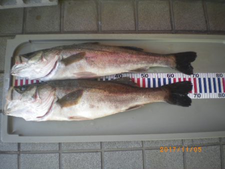 姫路市立遊魚センター 釣果