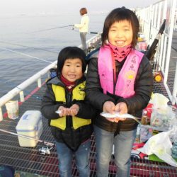 尼崎市立魚つり公園 釣果