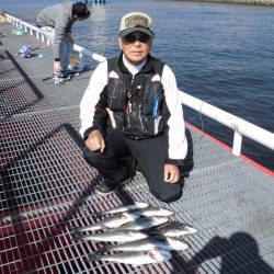 尼崎市立魚つり公園 釣果