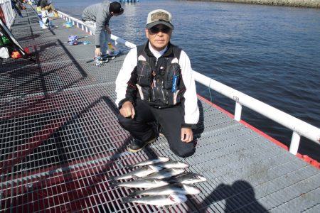 尼崎市立魚つり公園 釣果