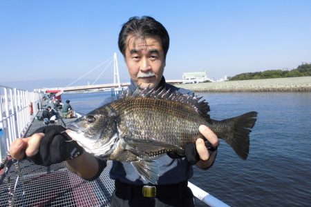 尼崎市立魚つり公園 釣果