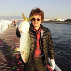 尼崎市立魚つり公園 釣果