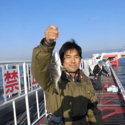 尼崎市立魚つり公園 釣果