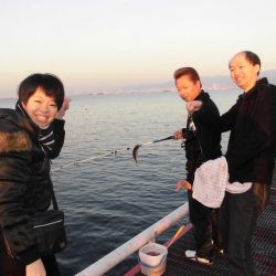 尼崎市立魚つり公園 釣果