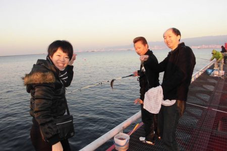 尼崎市立魚つり公園 釣果