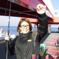 尼崎市立魚つり公園 釣果