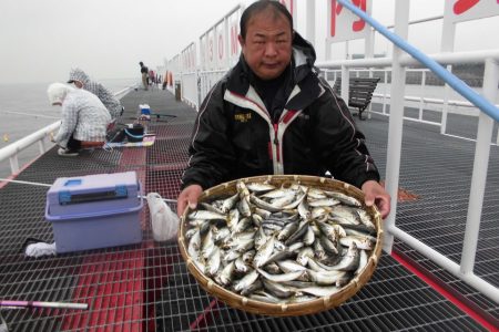 尼崎市立魚つり公園 釣果