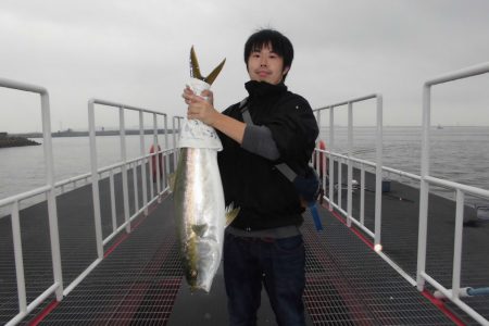 尼崎市立魚つり公園 釣果