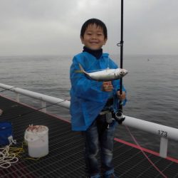 尼崎市立魚つり公園 釣果