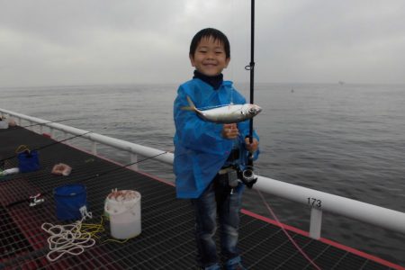 尼崎市立魚つり公園 釣果