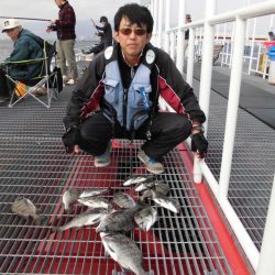 尼崎市立魚つり公園 釣果