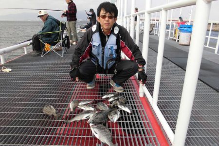 尼崎市立魚つり公園 釣果