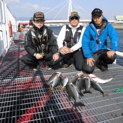 尼崎市立魚つり公園 釣果