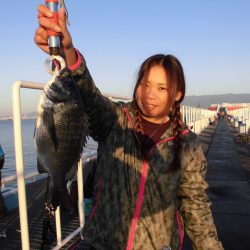 尼崎市立魚つり公園 釣果