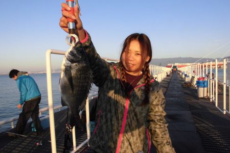 尼崎市立魚つり公園 釣果