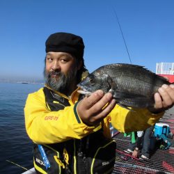 尼崎市立魚つり公園 釣果
