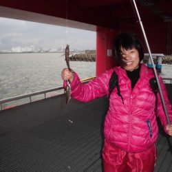 尼崎市立魚つり公園 釣果