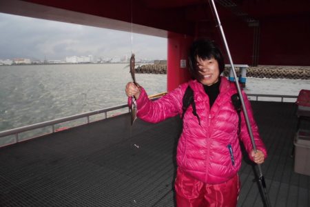 尼崎市立魚つり公園 釣果